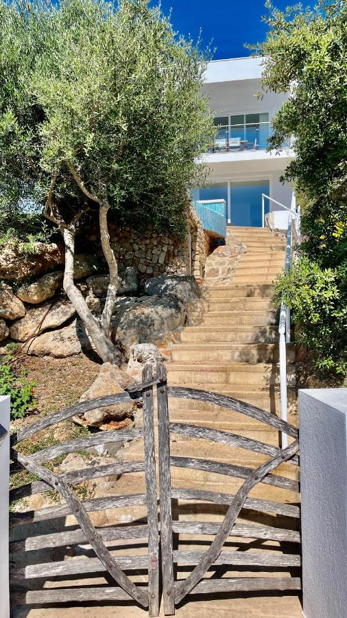 Villas Tin Coves Noves 푼타 그로사 외부 사진